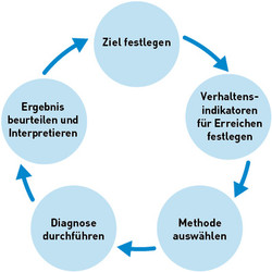 Grafische Darstellung des Diagnosekreislaufes
