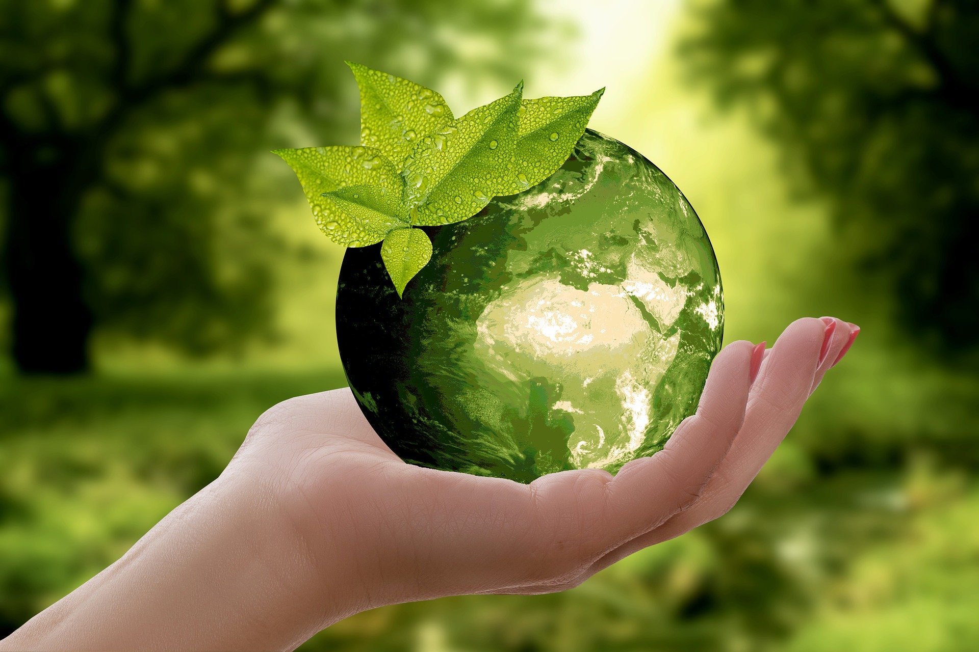 Das Bild zeigt eine Hand mit einer grün eingefärbten Erdkugel darauf vor unscharfem grünen Hintergrund.
