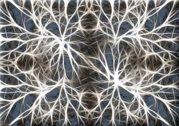 Neuronenstruktur