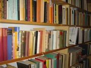 Das Bild zeigt ein gefülltes Bücherregal.