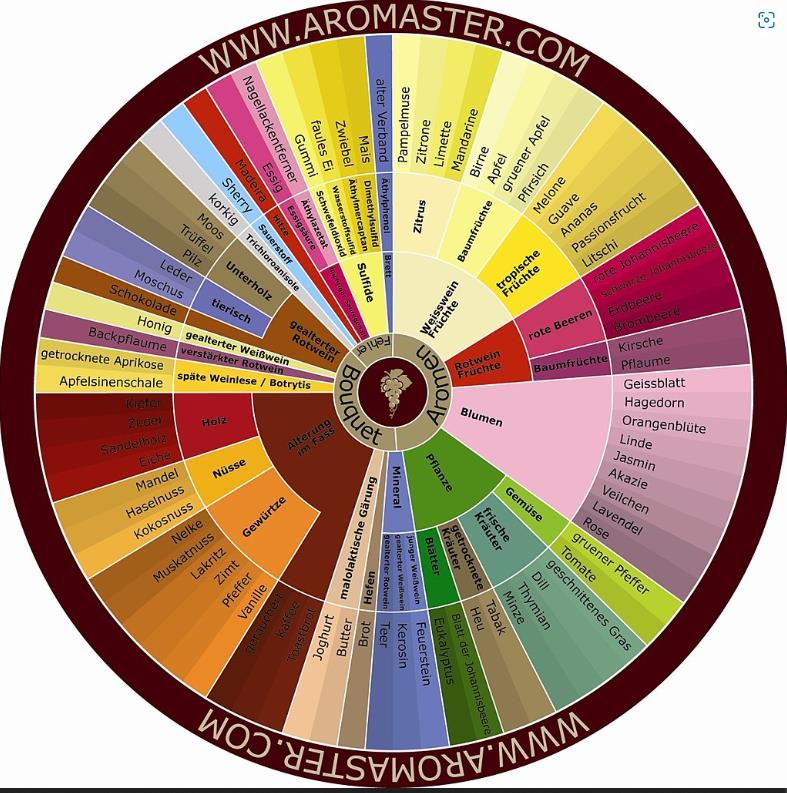 Das Wein-Aroma-Rad zeigt die verschiedenen Aromen an, mit denen man passend zu Weinen den Geruch trainieren kann.