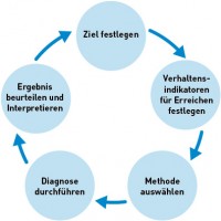 Grafik zum Diagnosekreislauf
