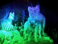 Das Hologramm zeigt drei Tiere.