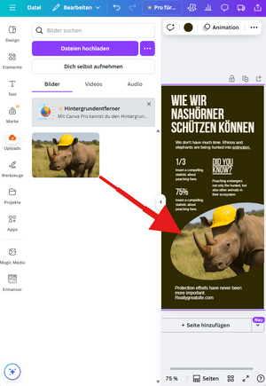 Ansichtsgrafik; eine eigene Datei wird in Canva eingefügt Ansichtsgrafik; eine eigene Datei wird in Canva eingefügt