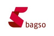 Die BAGSO im wb-web Unterstützerkreis