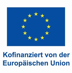 Logo der EU mit dem Verweis auf die finanzielle Förderung des Projekts