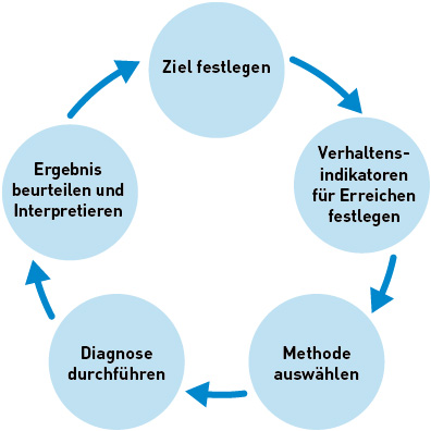 Kreise zur Darstellung des Diagnosezyklus.
