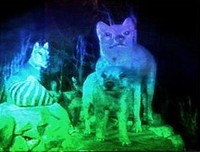 Das Bild zeigt ein Hologramm mit verschiedenen Tieren