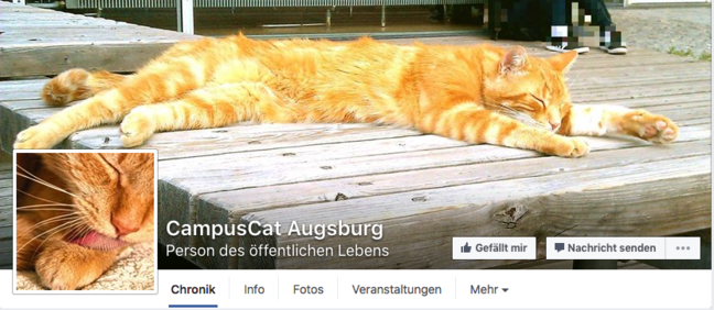 Screenshot des Profils von „CampusCat Augsburg“ auf Facebook