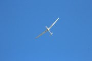 Das Bild zeigt ein Segelflugzeug im Flug.
