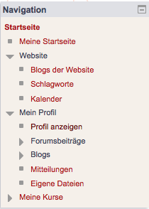 Moodle Screenshot Screenshot Moodle Navigation Kurs
